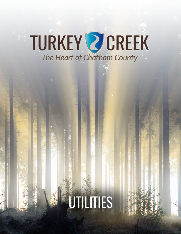 Turkey Creek Report